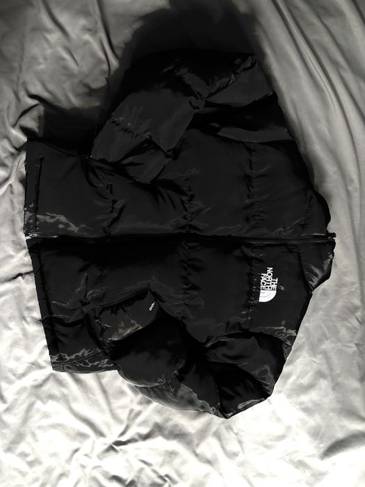 Kurtka the north face