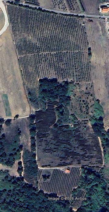 Arrenda-se pomar de Pera Rocha com 6 hectares