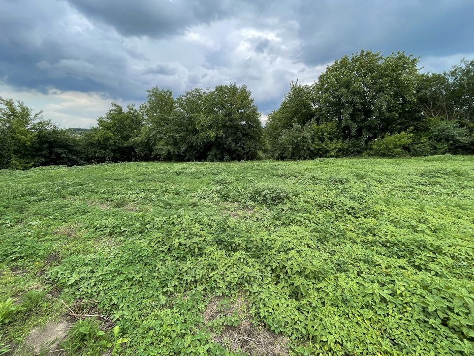 Продаж будинку Великі Бірки