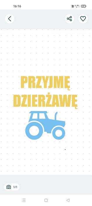 Dzierżawa grunty orne.