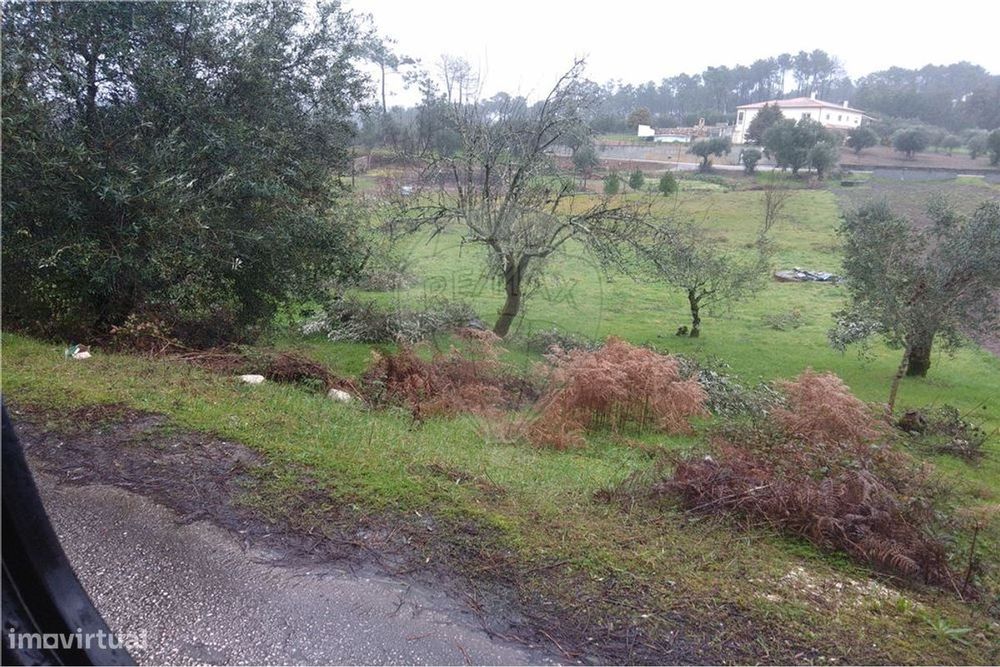 Terreno agrícola em Soucide — Santiago da Guarda, Leiria