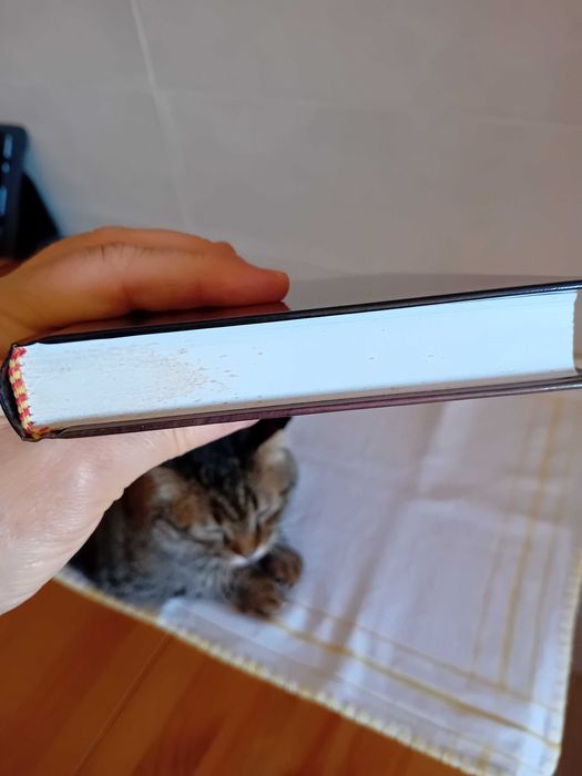 Livros policiais Dick Haskins/Mary Higgins Clark/Rex Stout