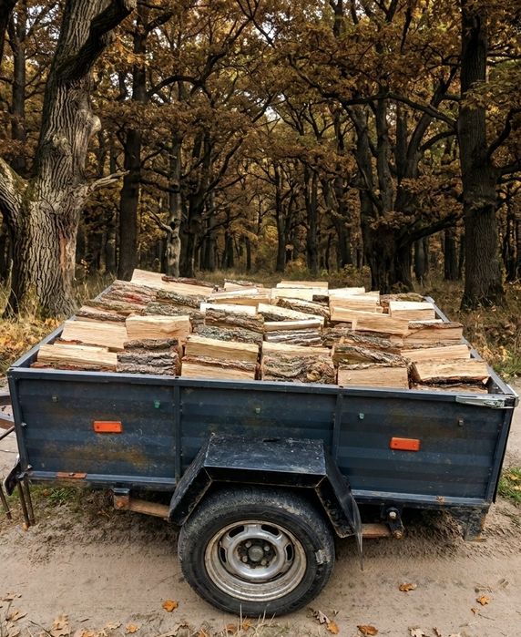 Дрова рубані, колоті. Твердих порід