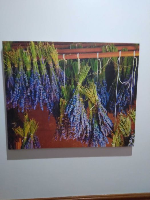 Quadros Natureza 3 peças,simples,agradaveis