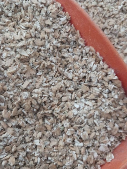 Pszenica płatki dla,kur,gołębi zwierząt