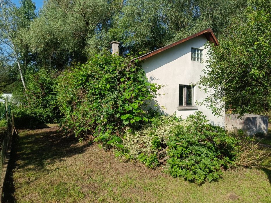 Odstąpię działkę ROD Wojnów Ubocze - 350 m² - Widok 3