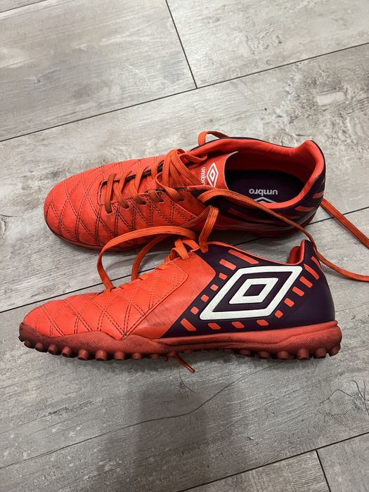 Сороконіжки umbro medusae