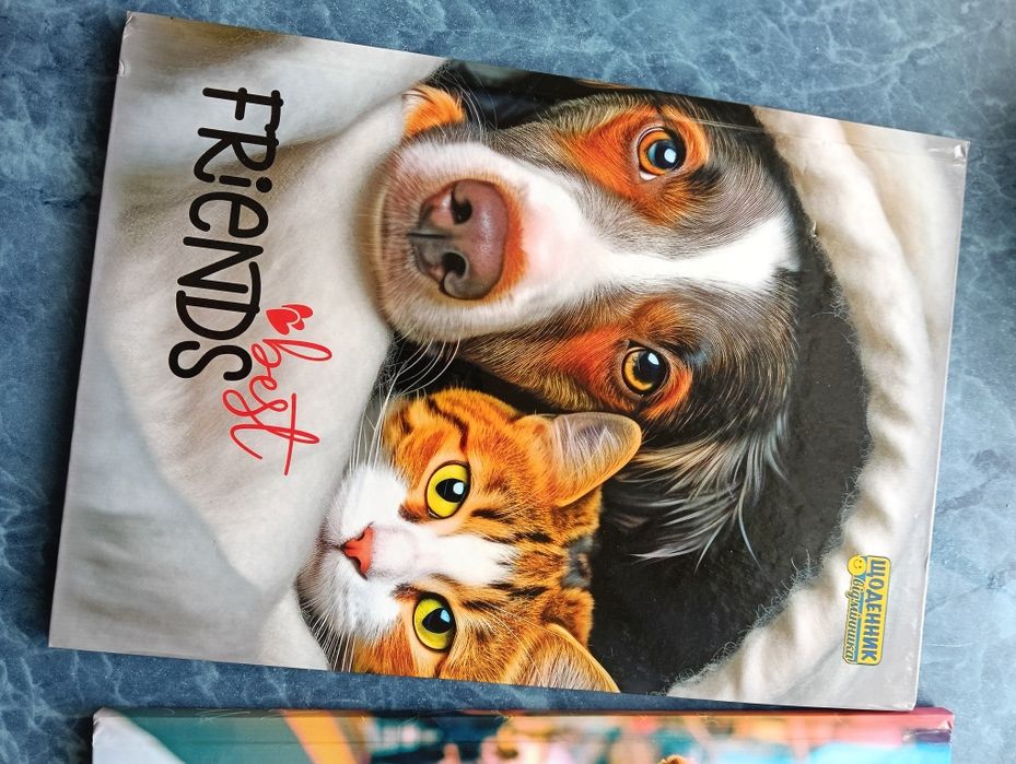 Дневники школьные