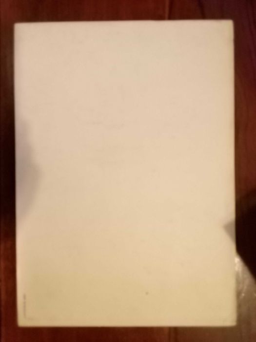 Gabrielle Basílico - A experiência dos lugares