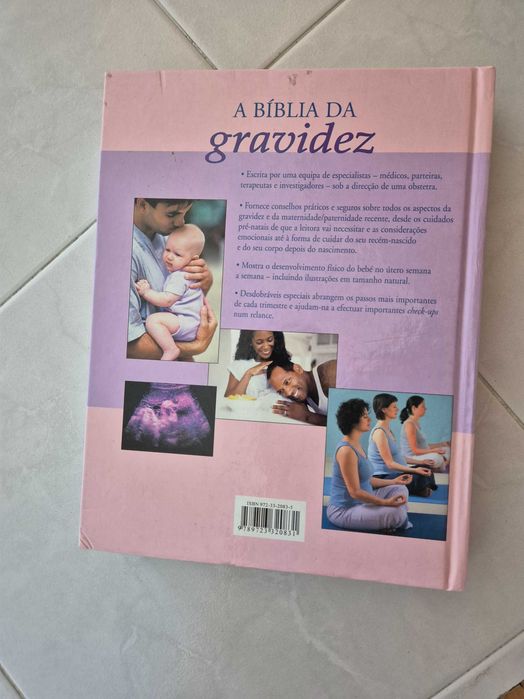 A Bíblia da Gravidez de Anne Deans