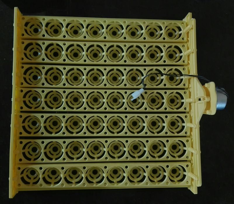 Tabuleiro automático 63 ovos galinha incubadora