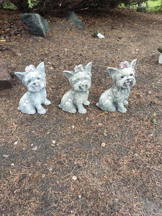 Figura betonowa pieska yorka betonowa figur york maltańczyk