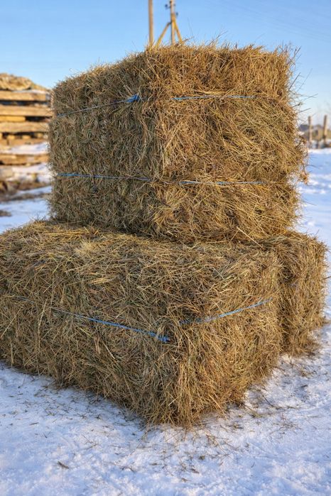 Продам сіно лугове