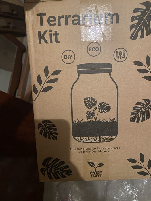 Terrarium kit novo