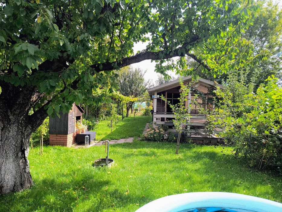 Działka ROD Flisak Toruń - murowany grill z wędzarnią, super taras z meblami ogrodowymi, mnóstwo drzew owocowych - Widok 2
