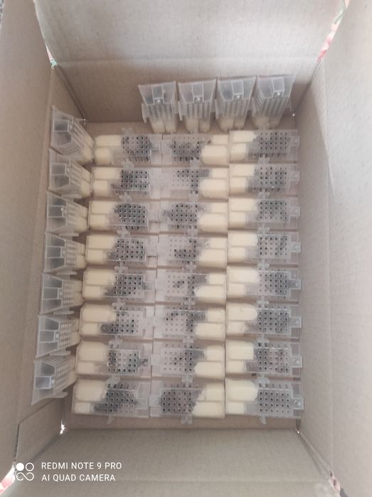 Карніка F1, Carnika F1