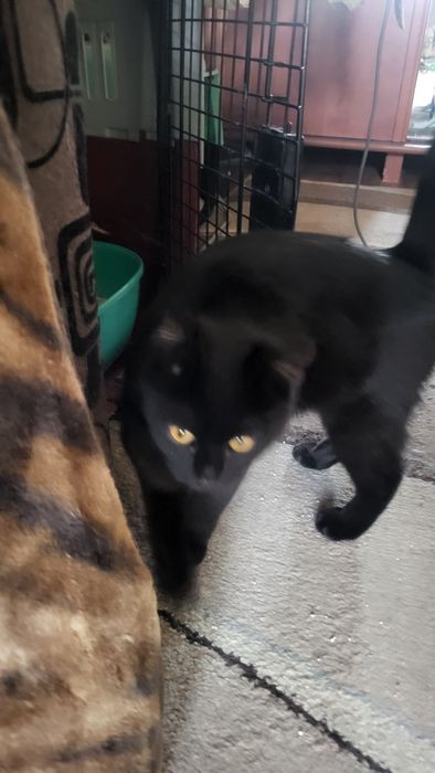 Девочка.4 - 4.5 месяца