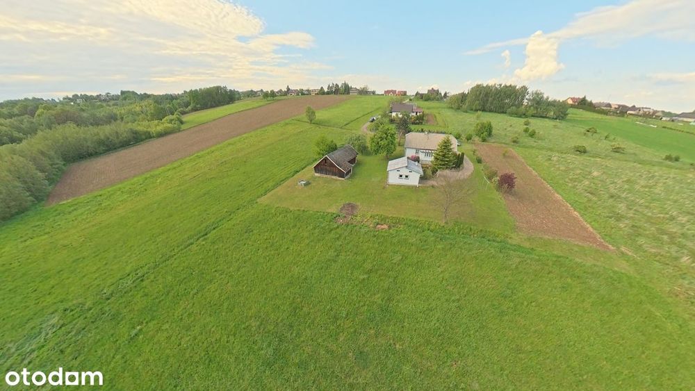 Klimatyczne siedlisko (1,77 ha) Bieńkowice - Widok 6