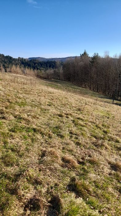Sprzedaż działki budowlanej gm.Gródek nad Dunajcem