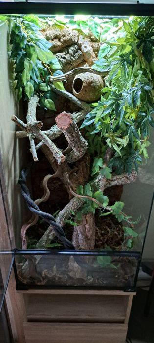 Terrarium 45x45x90 z wyposażeniem