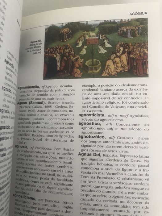 Enciclopédia Público 20 volumes