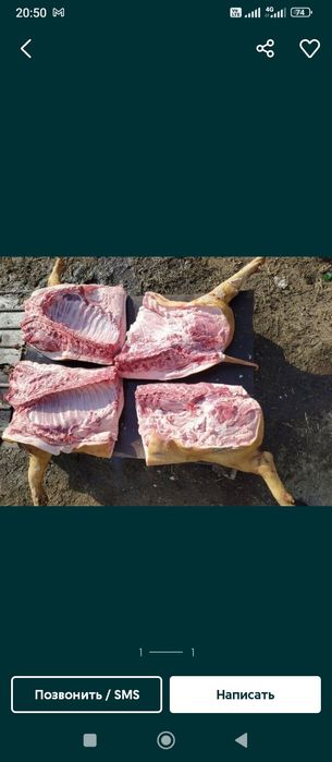 Продаю свиней живою вагою ,тушками півтушками, четвертинами