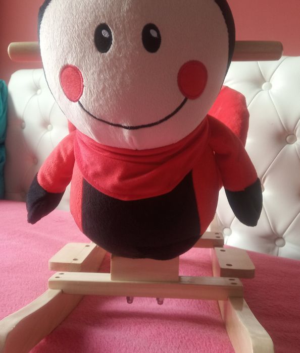 Biedronka na biegunach. Bujaczek