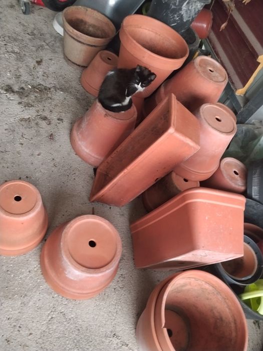 Vasos Ceramica usados