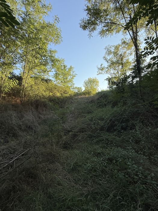 Продам будинок Сурсько-Литовське