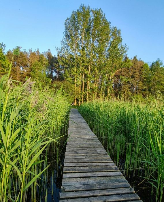 Domek nad jeziorem na Kaszubach