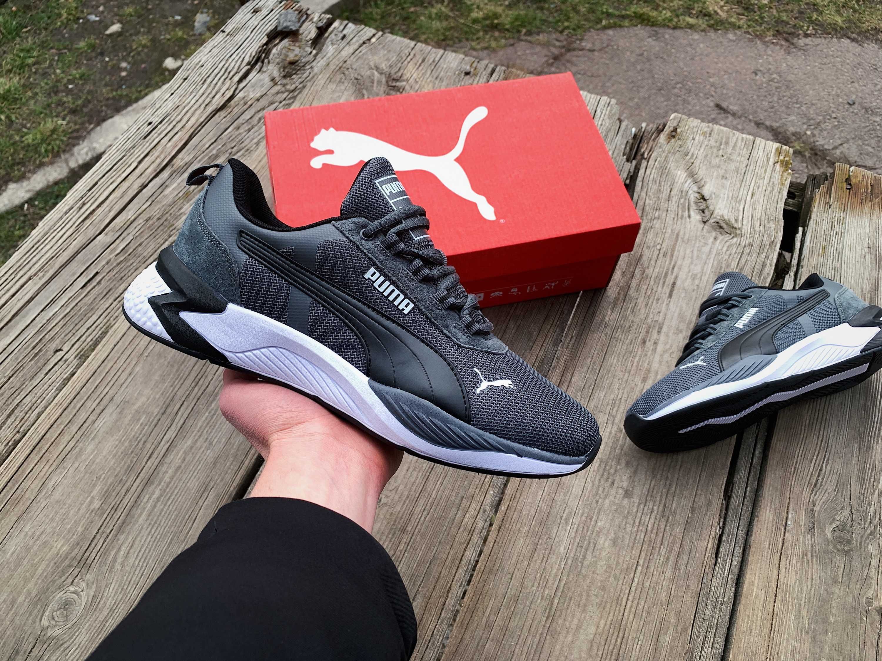 Puma algerie cheap