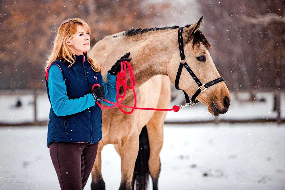 Фотосессії з кіньми професійні.