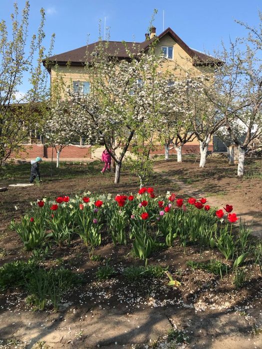 Эксклюзив! Продам дом Родичи