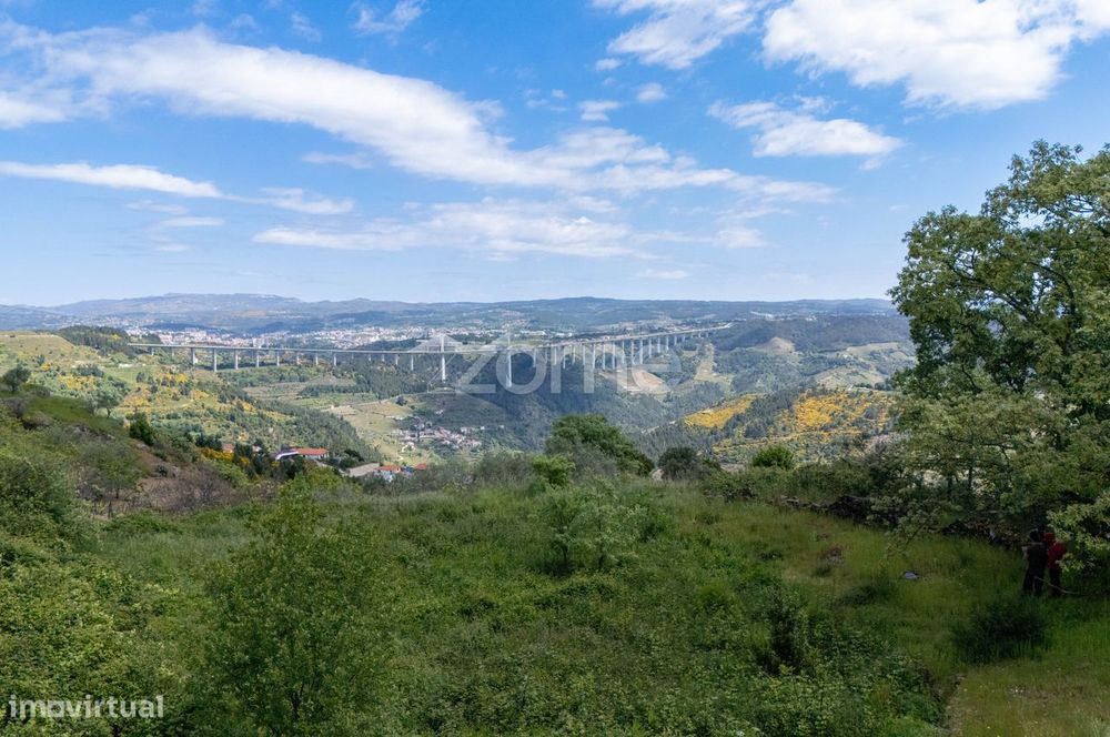 Terreno de 4437m2 com ruína, Santa Marta de Penaguião, Douro