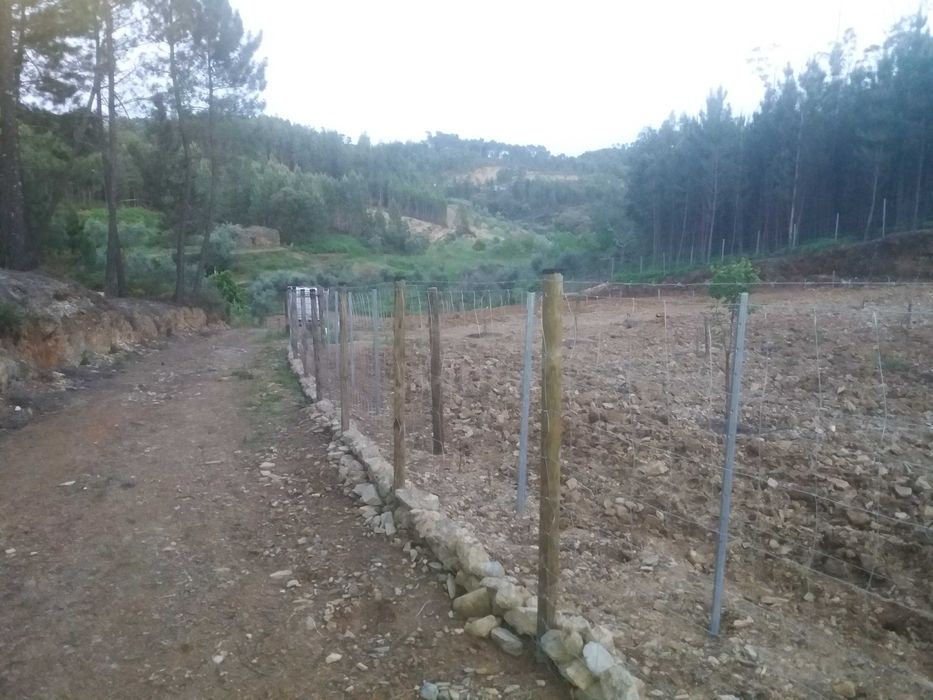 Vedações rede ovelheira e outras