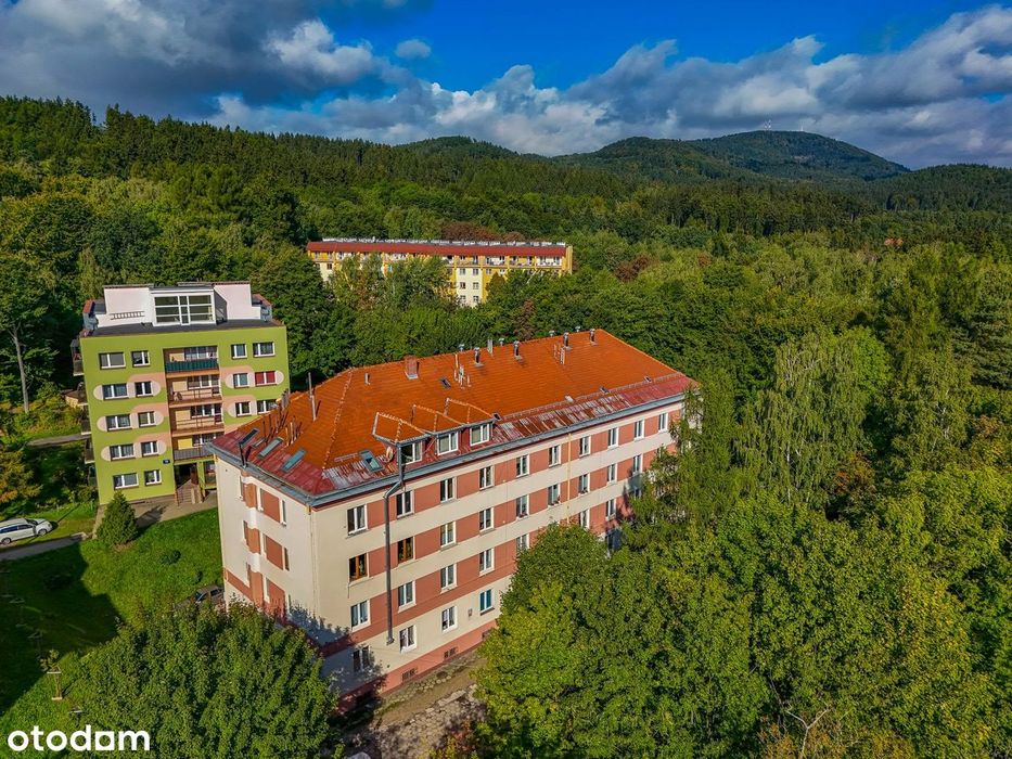 2 pokoje - ogrzewanie miejskie -ogródek 700 m2