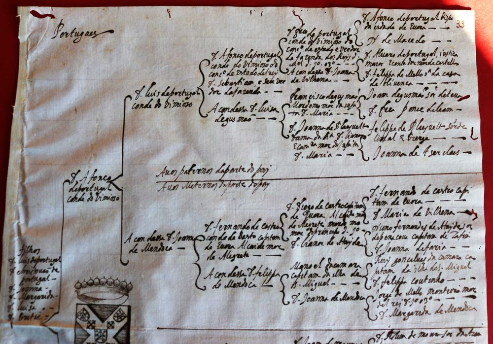 Apelido Portugal, Condes de Vimioso, 1628 árvore genealógica