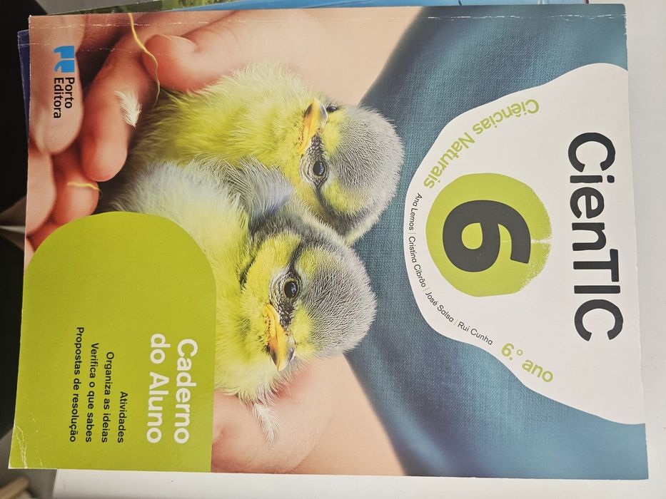 Livros de fichas 6 ano 5€ unidade