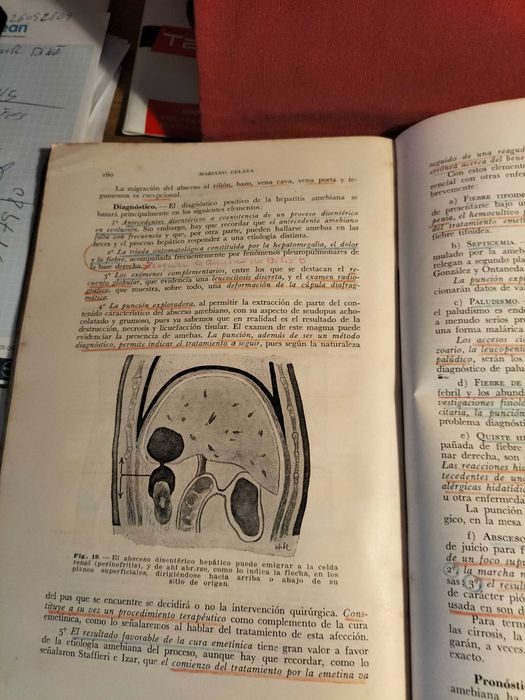 Livro "Patologia Médica - Segunda Parte" - CXL6