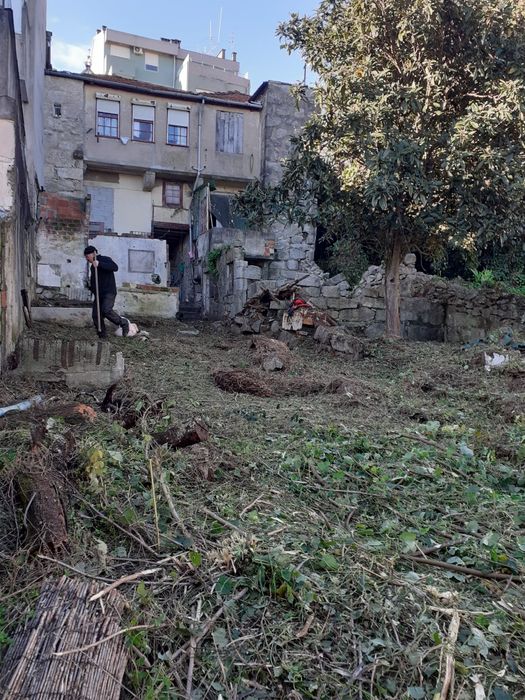 Serviços de Jardinagem/ Poda de sebes