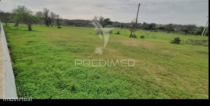 Terreno Rustico Em Vale Da Ursa   Reservado — Albufeira E Olhos De Água, Faro