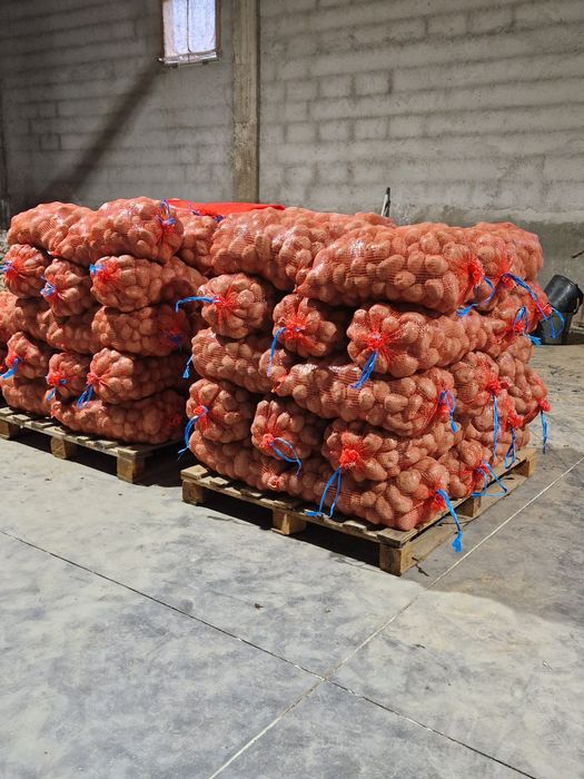 Batatas Agria saco 20kg