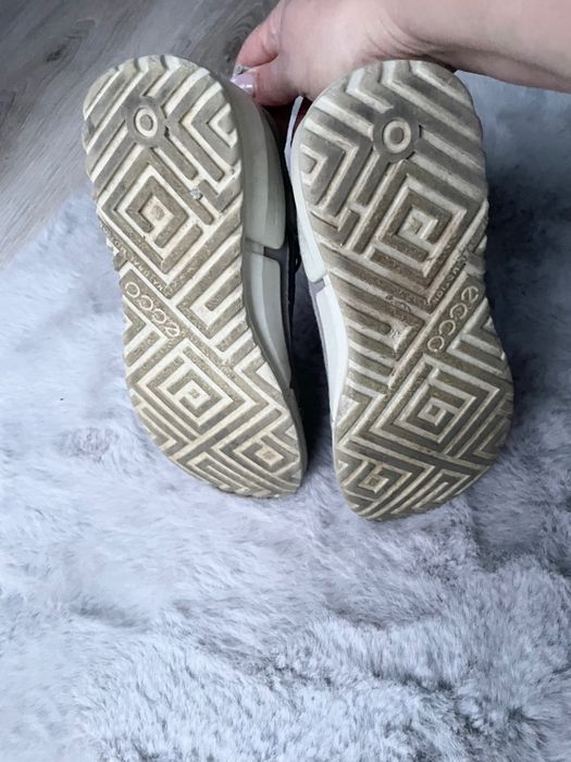r. 35 Ecco sportowe buty sneakersy idealne szkoły