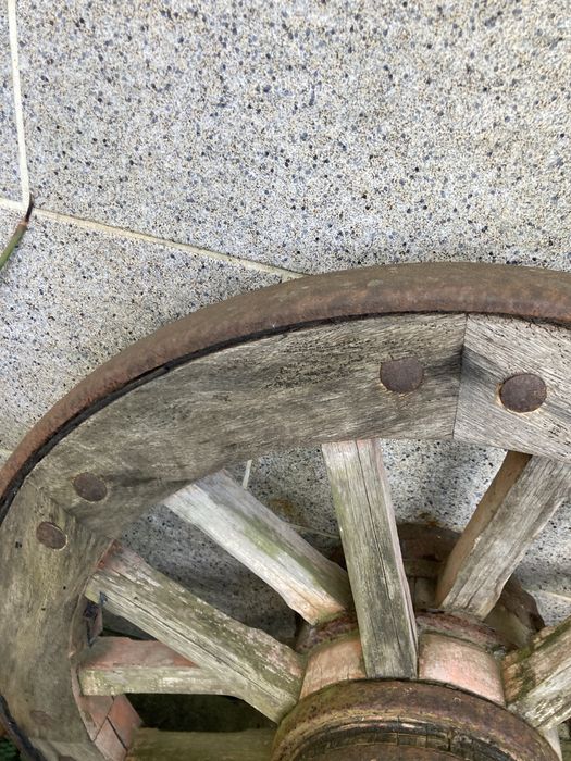 Roda de carro bois antiga