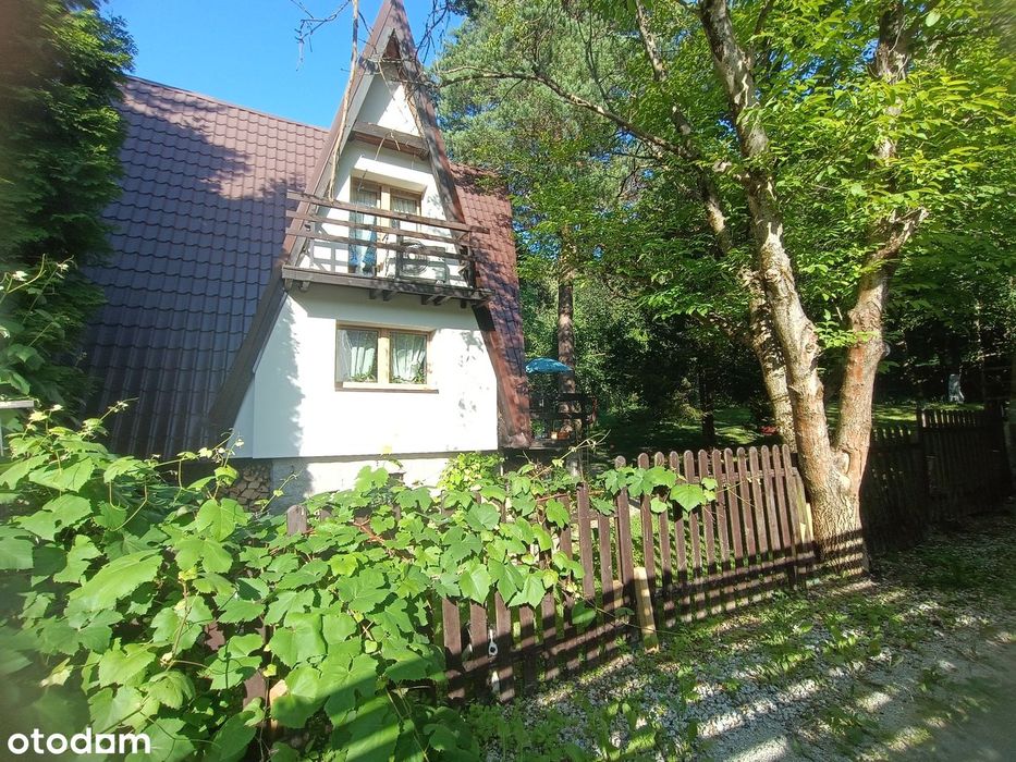 Zdjęcie 6