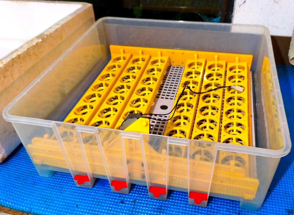 Chocadeira com viragem automática 48 ovos