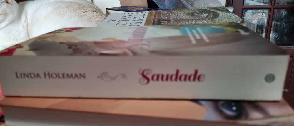 Saudade de Linda Holeman