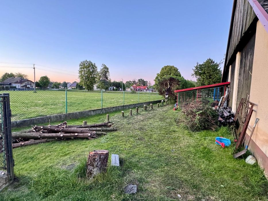 Od trawnika po drzewa – zadbamy o każdy szczegół Twojego ogrodu