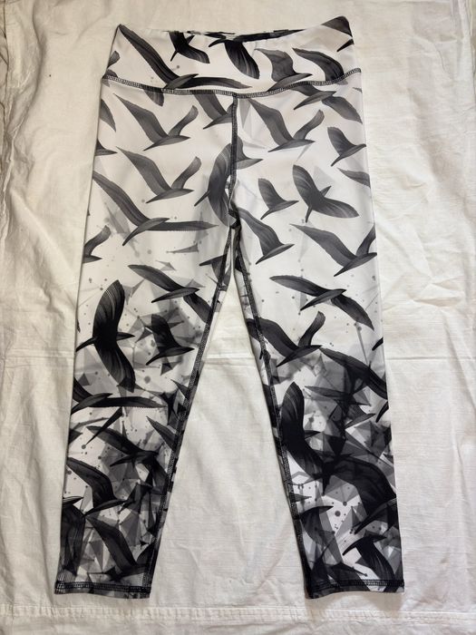 Evolution and creation size M