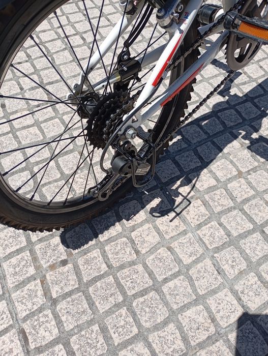 Bicicleta roda 20